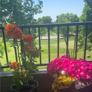 Meet your Posher, Aaliyah